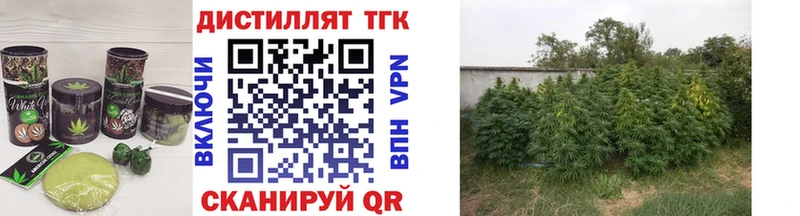 купить наркотик  Ялуторовск  Еда ТГК марихуана 
