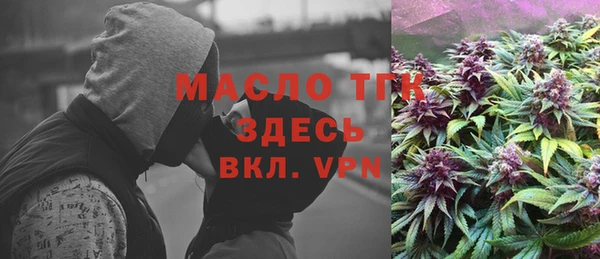 МДПВ Бородино