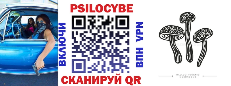 Псилоцибиновые грибы Cubensis  Ялуторовск 